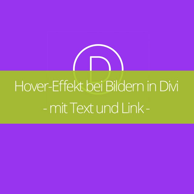 Hover-Effekt bei Bildern in Divi – mit Text und Link